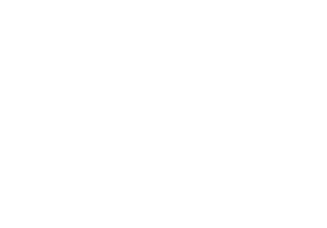 CDH Vision Flammes - Porte vitrée de cheminée sur mesure à Bordeaux